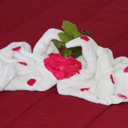 Aparthotel Torresilvana 3*